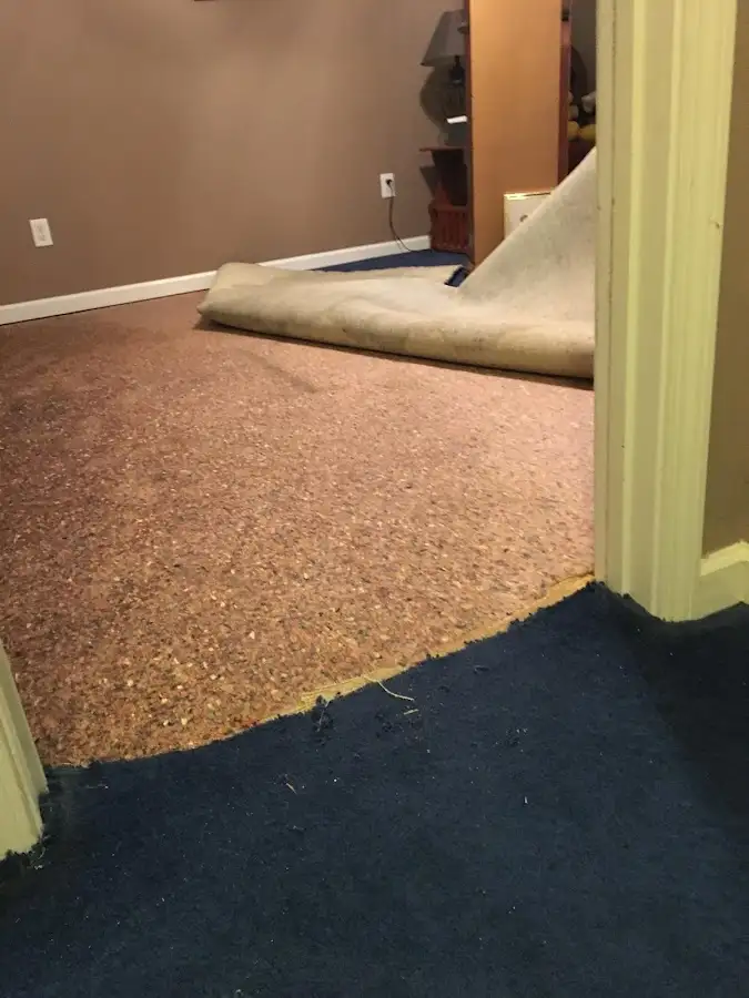 Carpet pad removal revealing water damage during Water Mitigation Services in Williamson
