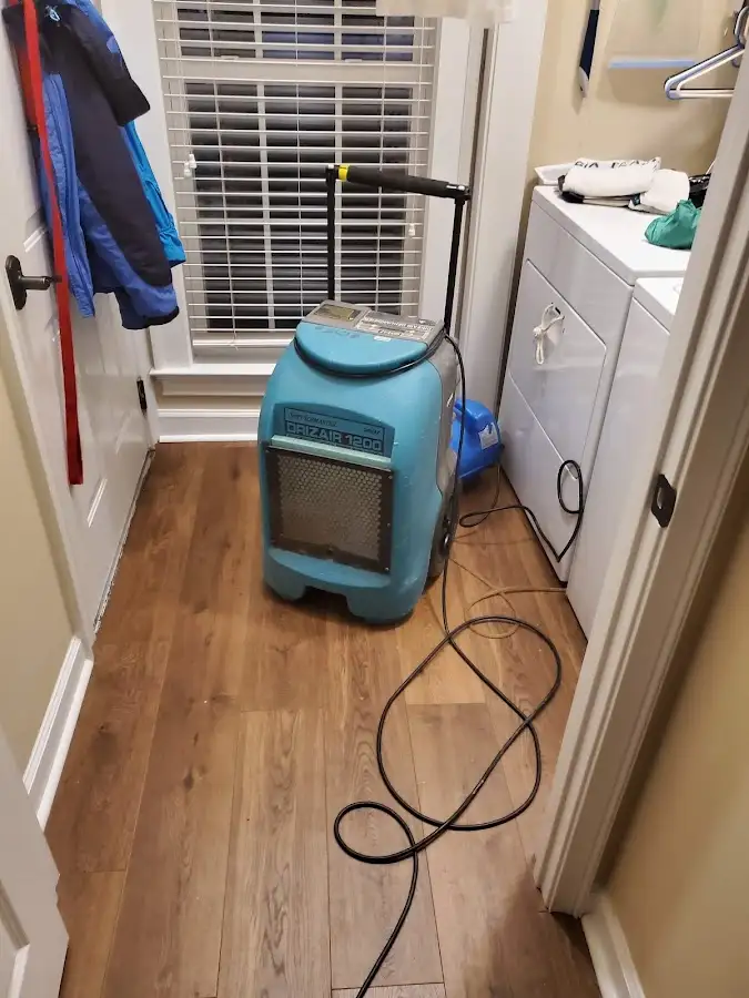 Commercial dehumidifier deployed for Flood Damage Cleanup in Williamson